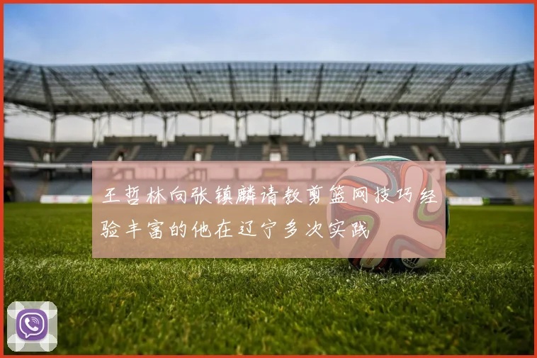 王哲林向张镇麟请教剪篮网技巧经验丰富的他在辽宁多次实践