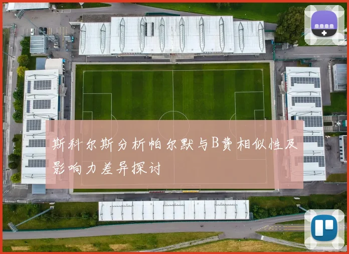 斯科尔斯分析帕尔默与B费相似性及影响力差异探讨